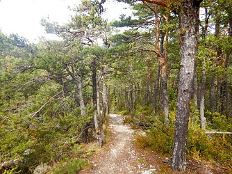 SAINT-JULIEN-DU-VERDON - La Barre du Pidanoux