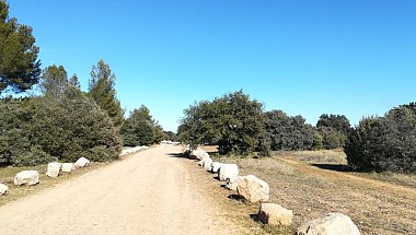 SAINT REMY DE PROVENCE - À la rencontre des oiseaux de la Petite Crau