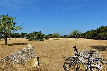 SAINT REMY DE PROVENCE - Pèr draio e pèr Camin in mountain bike