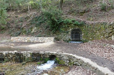 SAINT-ZACHARIE - La forêt du Défens par la piste de l'eau