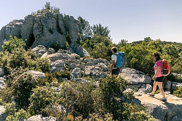 SIGNES - L'éléphant de pierre