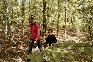 ST-LEGER-DU-VENTOUX - Sentier botanique de soleil et d'eau