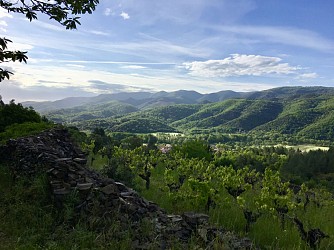 ESPACE TRAIL MONTAGNES DU CAROUX - PARCOURS 7 - LA CROIX DES BAUSSELS