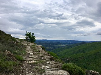 ESPACE TRAIL MONTAGNES DU CAROUX - PARCOURS 9 - LA FAGE