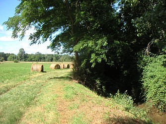 Le sentier de l'eau - boucle 2 découvertes des sources