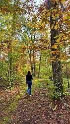 Circuit n°2 - Les tremblières