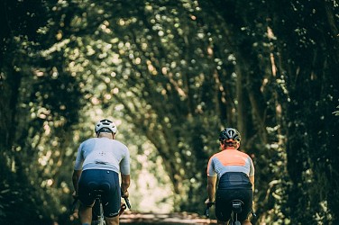 La forêt de Saint-Sauveur