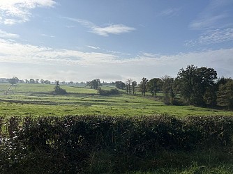 Balade Verte - A travers bois (PLM 6)