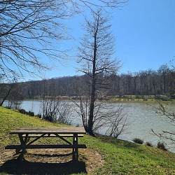 Circuit Pédestre 04 - Circuit Long des 2 Lacs - 13.1 km