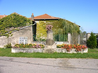 Walk around borville