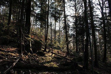 Mtb tour n°1 raon l'etape