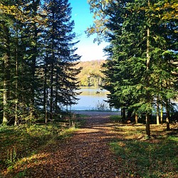 Sentier des Lacs de Contrexéville au Parc de Vittel - 6 km