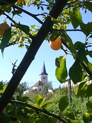 Walk around rozelieures