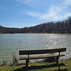 Circuit Pédestre 06 - Le Rond des Gendarmes - 8.9 km
