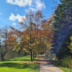 Circuit Pédestre 07 -  L'Anger - 16.5 km
