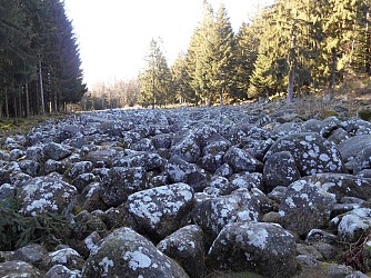 Circuit pédestre - Le Champ de Roches (Grand Circuit)