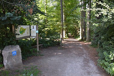 Du Bois des Rêves au Bois de Lauzelle