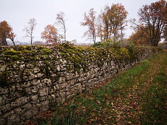 Circuit des Cayrous