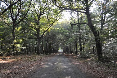 Circuit de Bodélio, Malansac