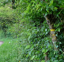 Circuit Vallée de la Braye à Savigny-sur-Braye