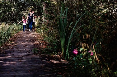 Balade à Roulettes n°5 L'espace naturel du lac de Castet