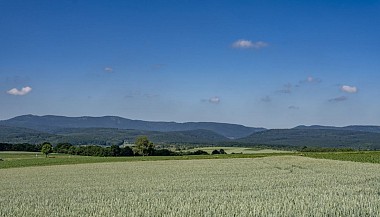 Nordic Walking trail - Romanswiller
