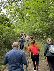 PR2 - Cicuit de Padié à L'Honor de Cos