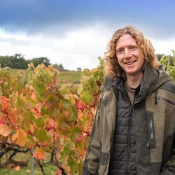 3- ROUTE DES VINS V&D - DU DOMAINE BOIS DE DEVÈS À LA MAISON DES VINS ET DU TOURISME