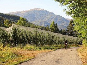 Balade des vergers by bike