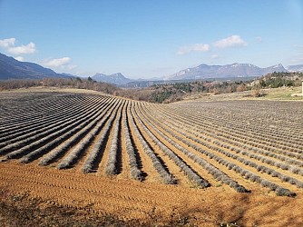 Sur les hauteurs de Laragne à VTT (N°15)
