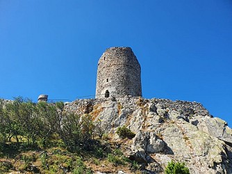The Massane tower