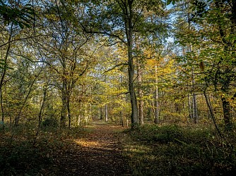Chemin des Ogonnières