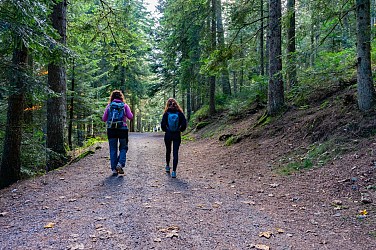 GR® de Pays Les Grenadières
