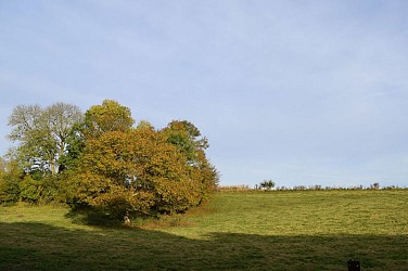 The Farms of Sebourg