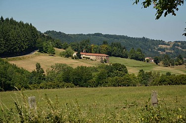 Le chemin de Ronde