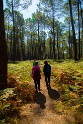 A Mios, balade au fil de l'Eyre