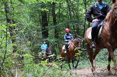 Circuit équestre Forêt de Montauban (n°2)