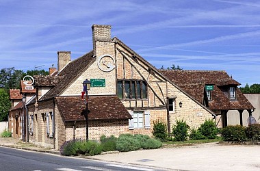 En forêt sur la piste du cerf