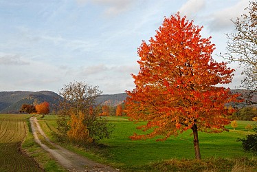 Schoeneck mountain bike trail