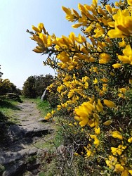 Circuit du Manéguen Guénin