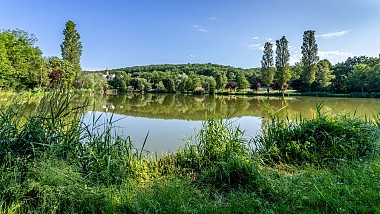 Randonnée nature avec panorama, entre Crémieu, cité médiévale et l'étang de Dizimieu