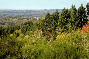 Le sentier des crêtes