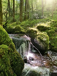 Les Roudouloux