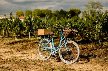 Les vignobles à vélo - Les Grands Crus Classés du Sauternais