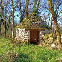 Les Tioulières - Ambeyrac