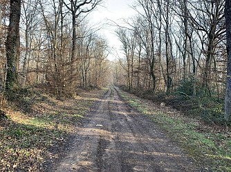 Sentier du bois des Arnauds