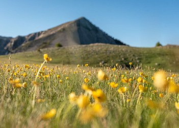 GR®69 - La Routo® Etape Seyne - Le Laverq