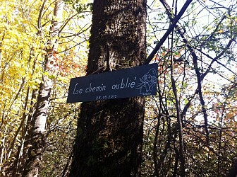 Walking loop: the Forgotten Path