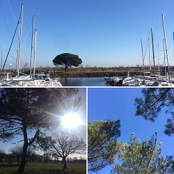 Les Pistes de Robin : un petit écrin de nature (version FALC)