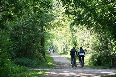 Virée en Chantereine